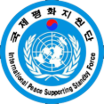 국제평화지원단